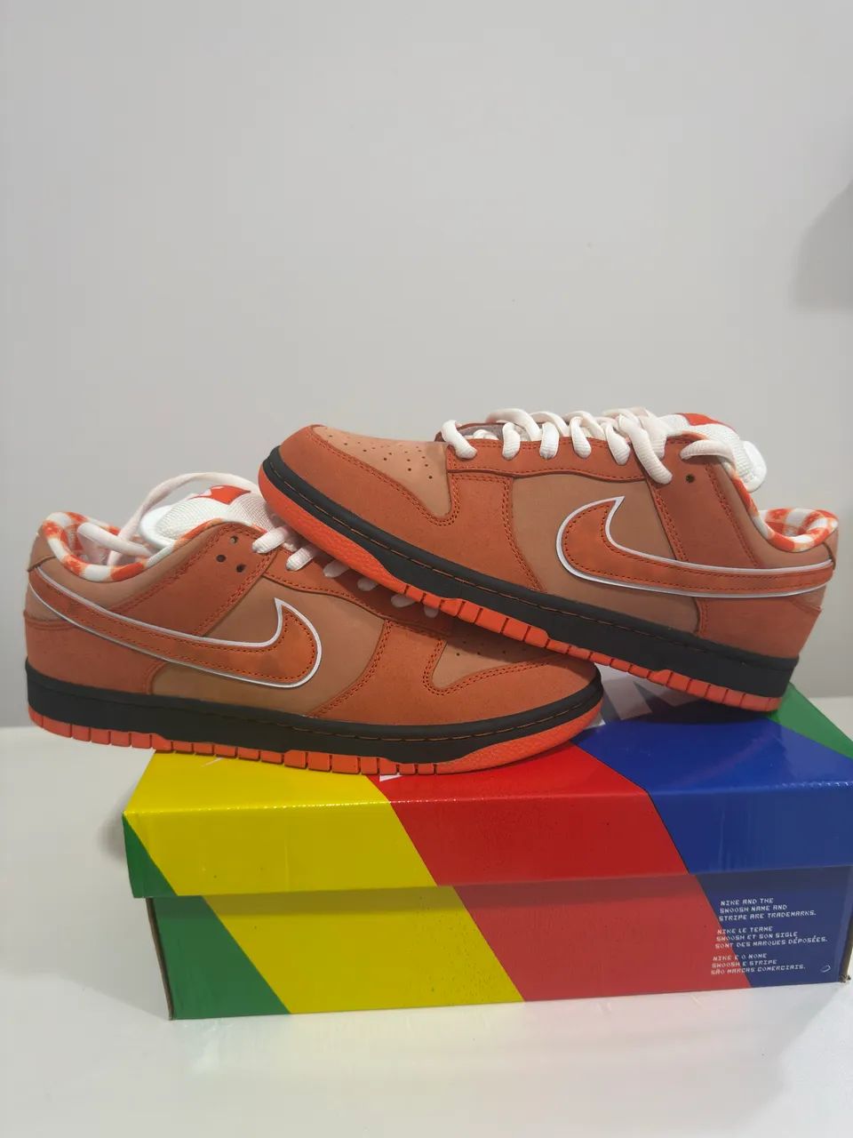 Dunk Orange lobster  - Foto 3