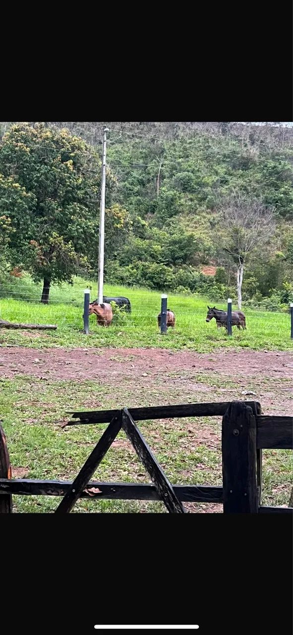 Fazenda em Minaçu - Foto 3