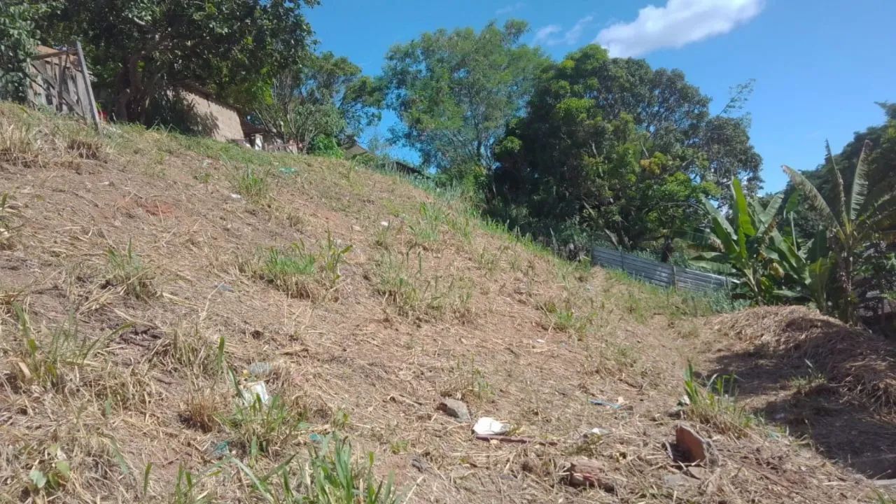 Imóvel para venda tem 357 metros quadrados
