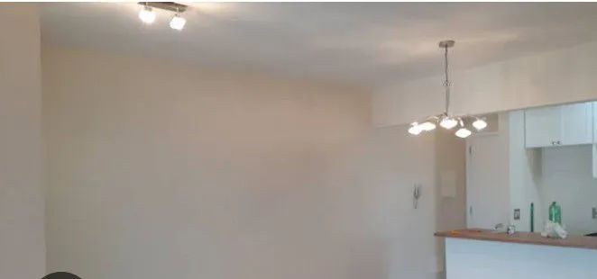 Pinturas em geral  - Foto 3