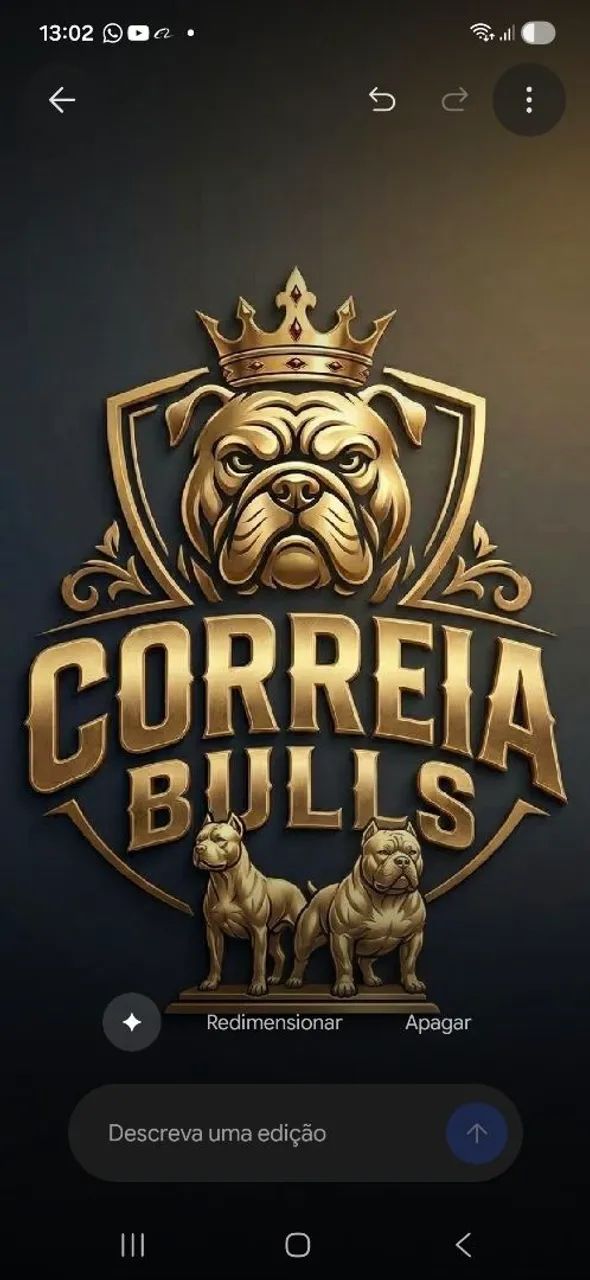 American Bully  - Foto 4