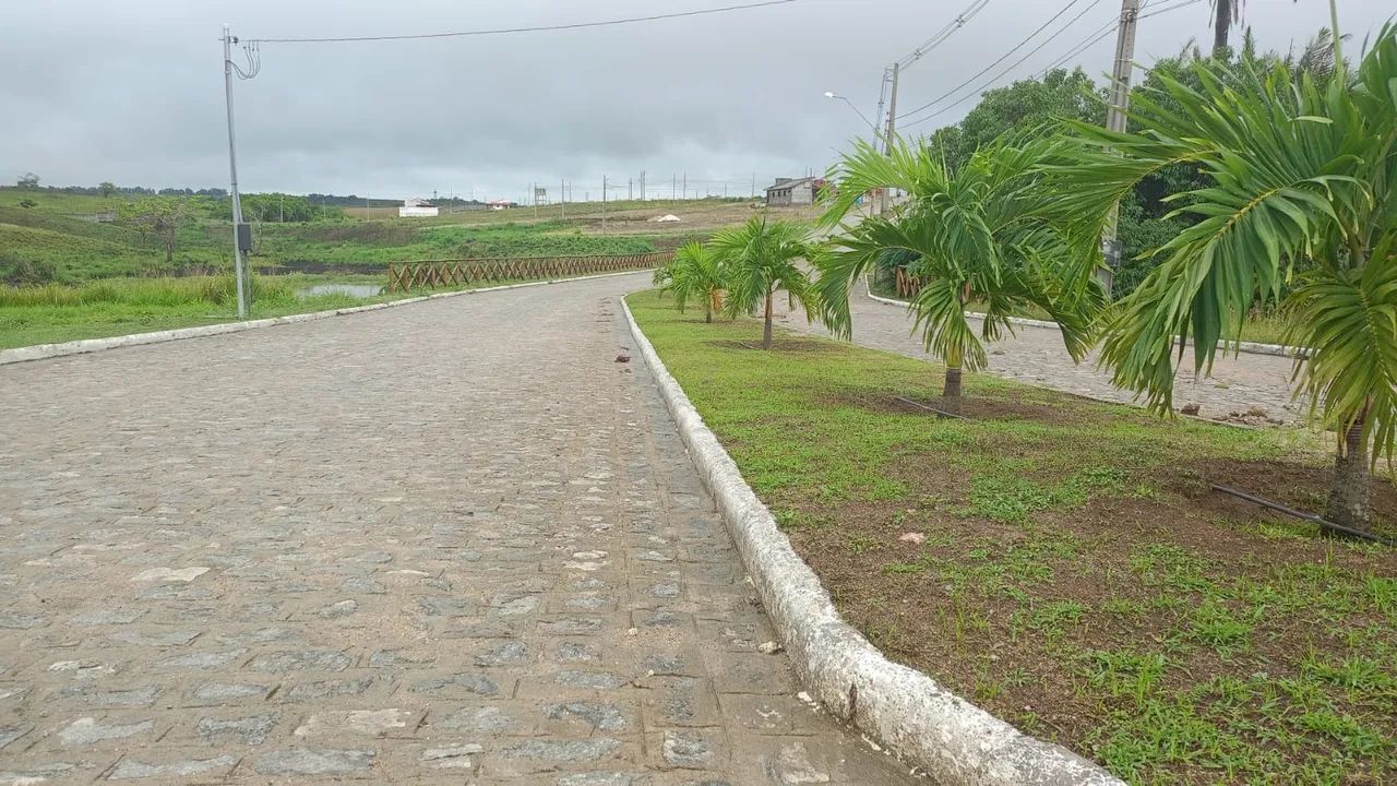 Fazenda Real 2 - Repasse  - Foto 4