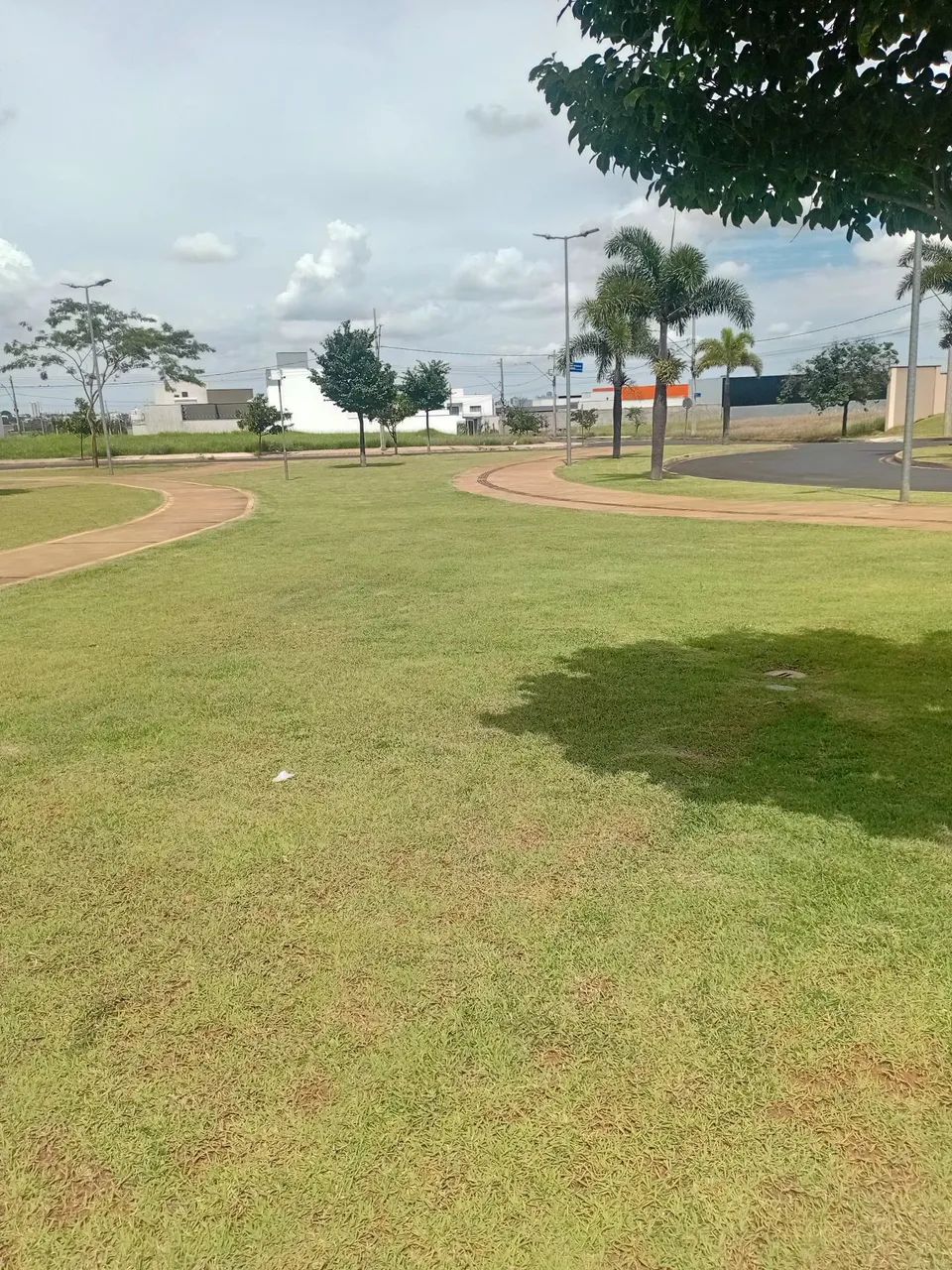 Jardineiro  - Foto 3