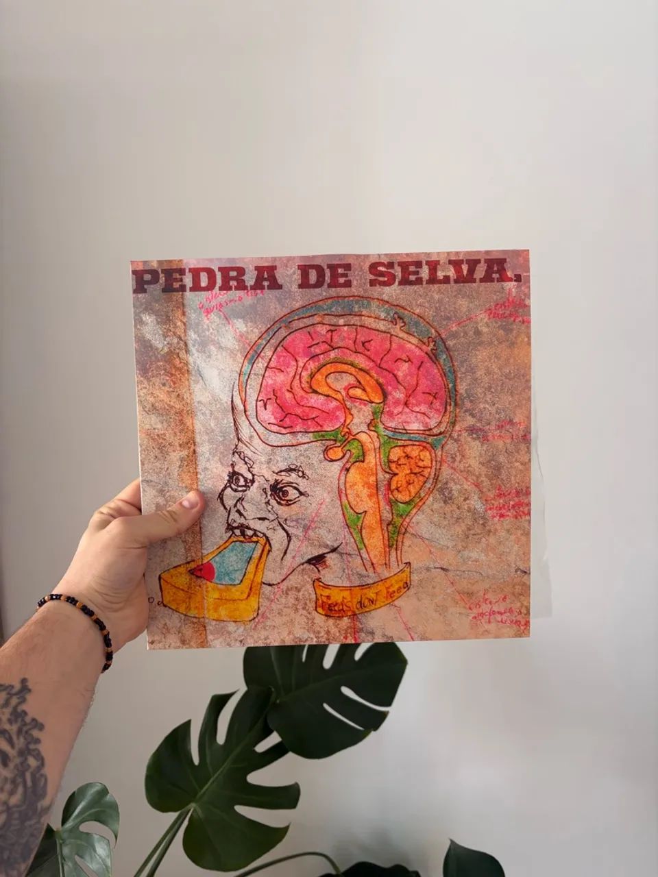 LP CURUMIM | Pedra de Selva  - Foto 2