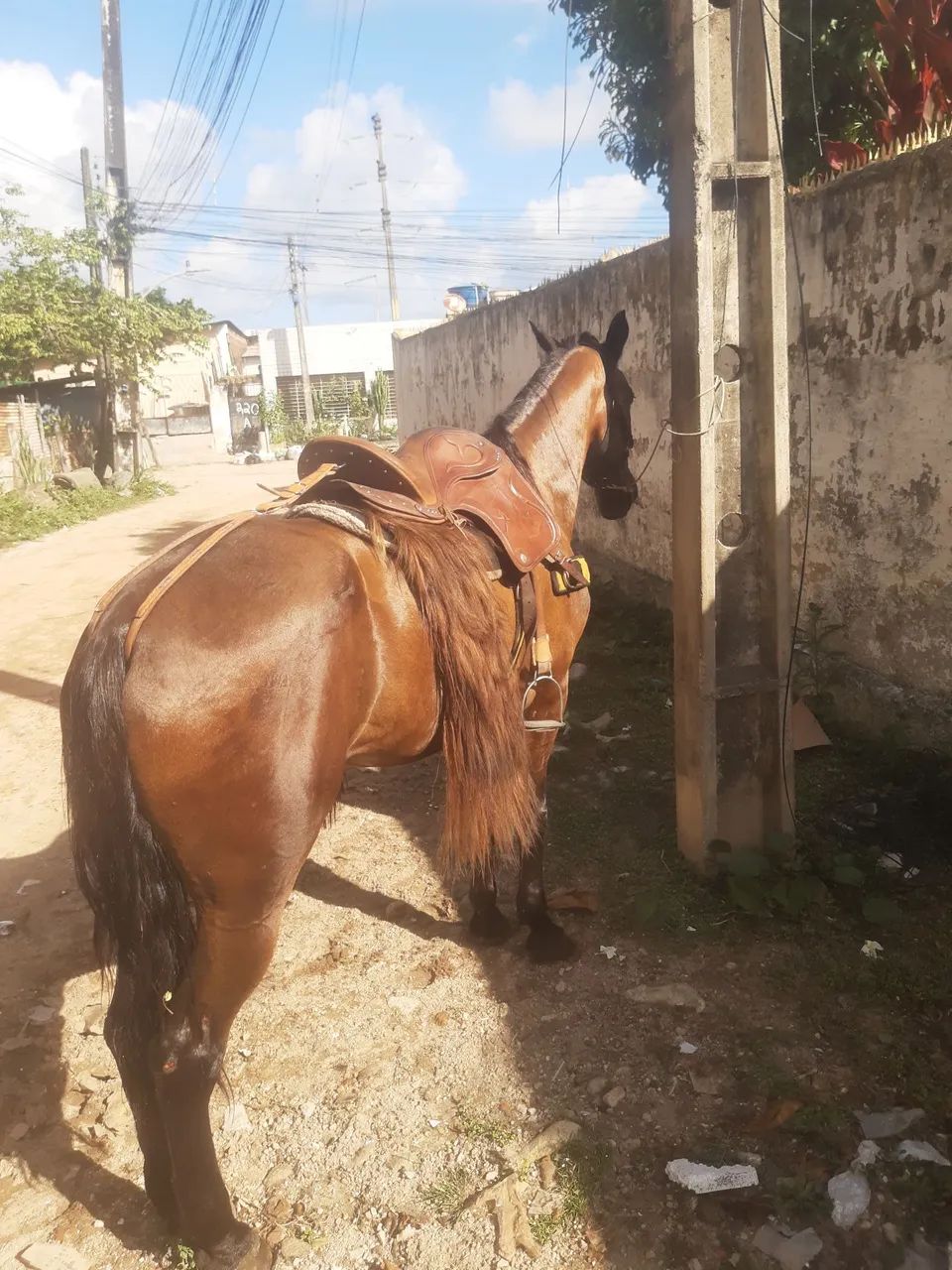vendo o negão da paixão  - Foto 3