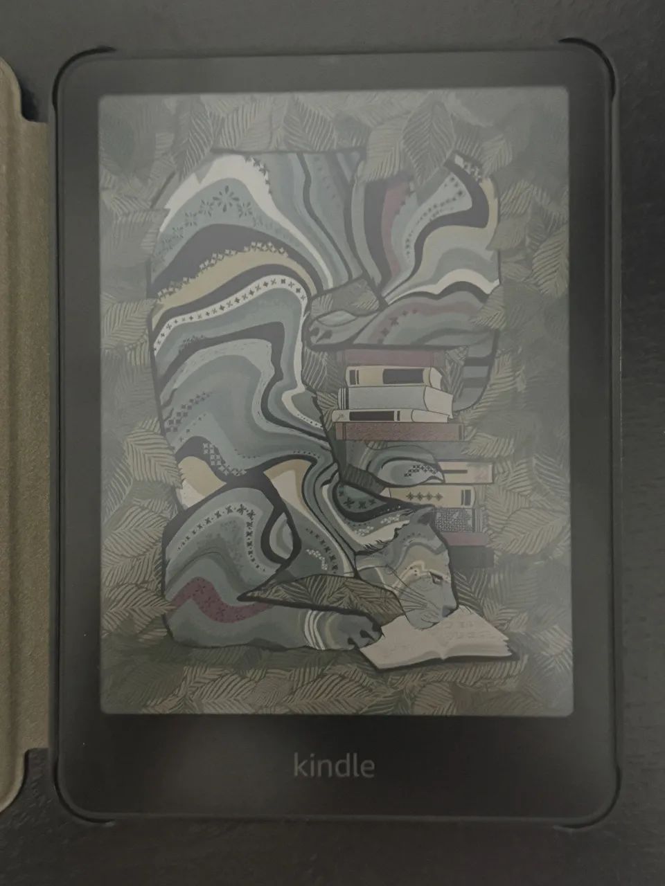 Kindle Colorsoft Signature Edition 32gb
