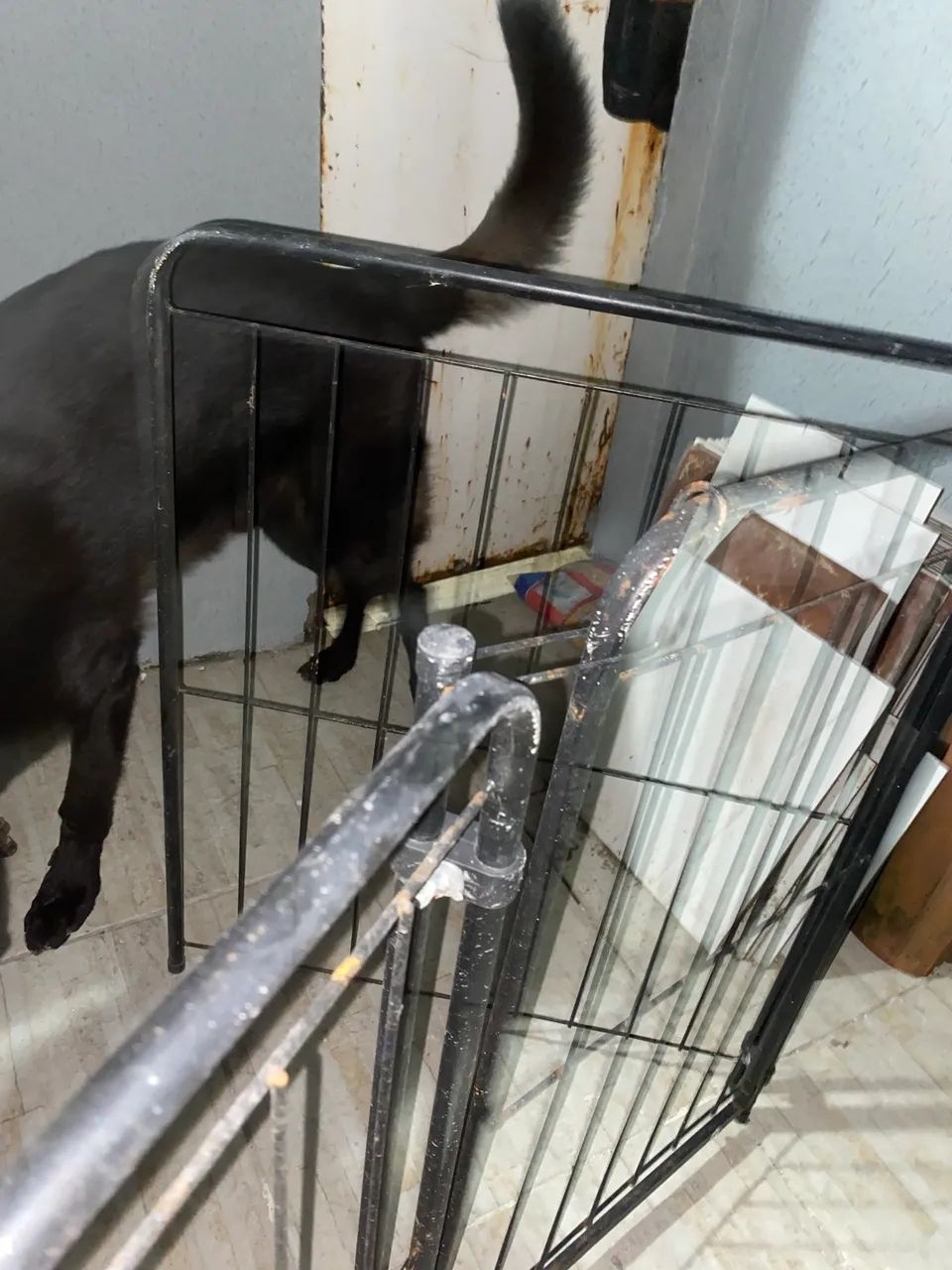 Separador de metal - Foto 3