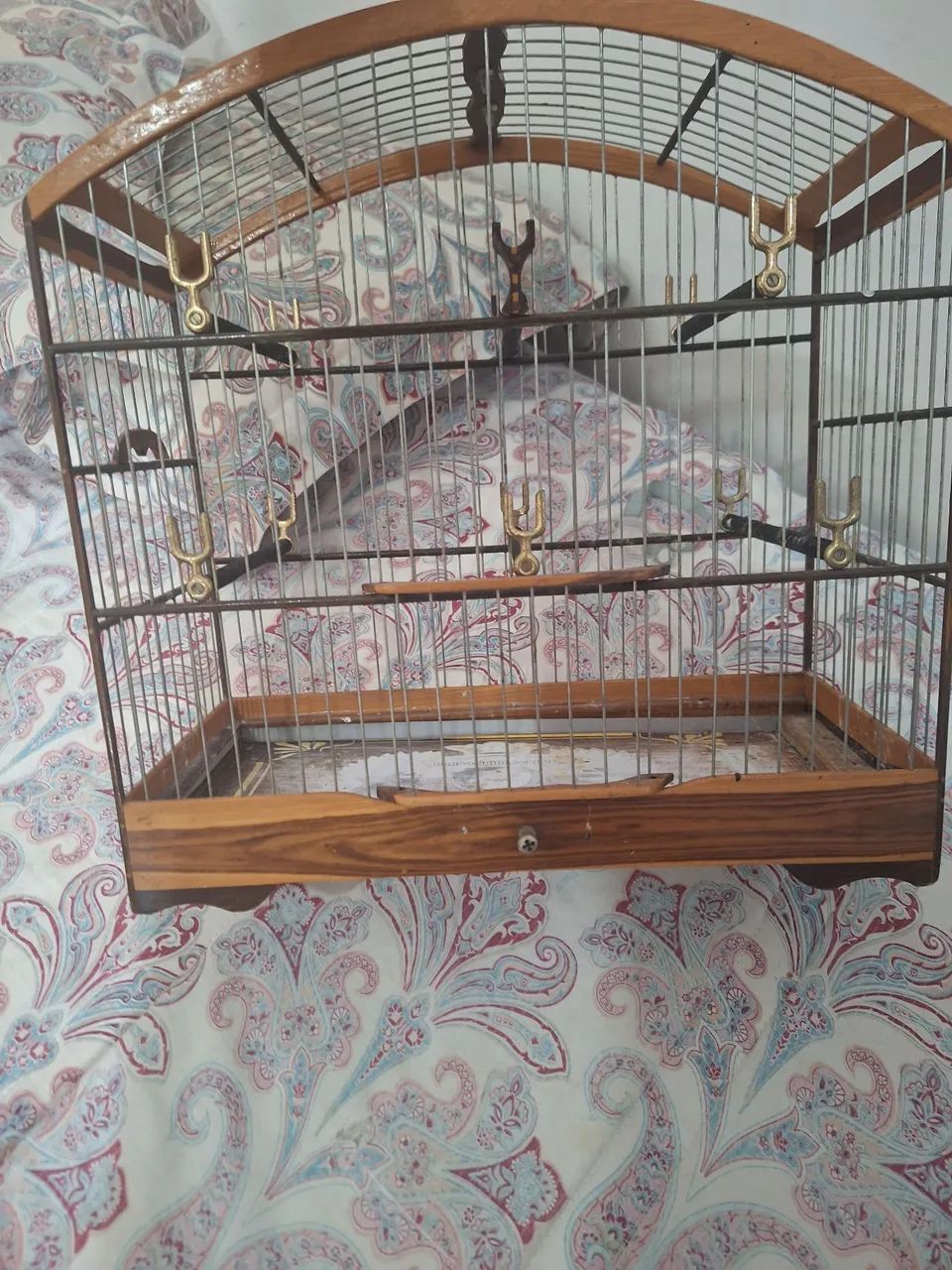 Gaiola 