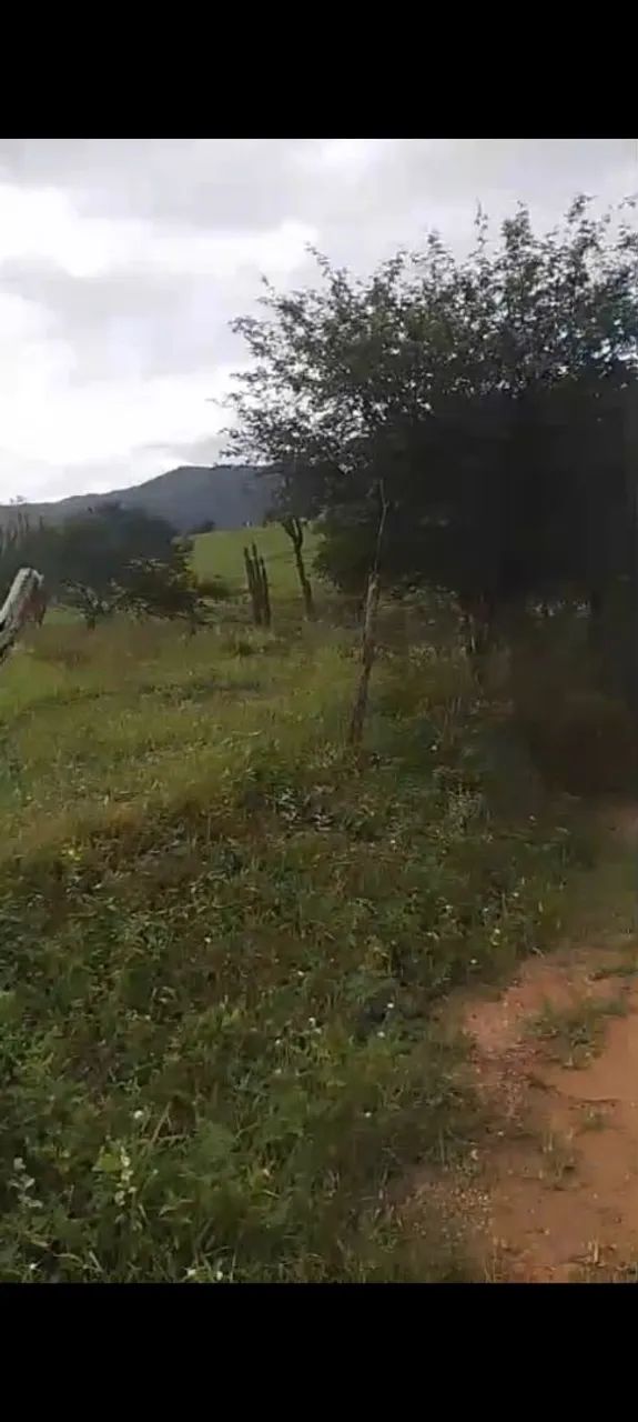Terreno bom para sítio ou chácara  - Foto 4
