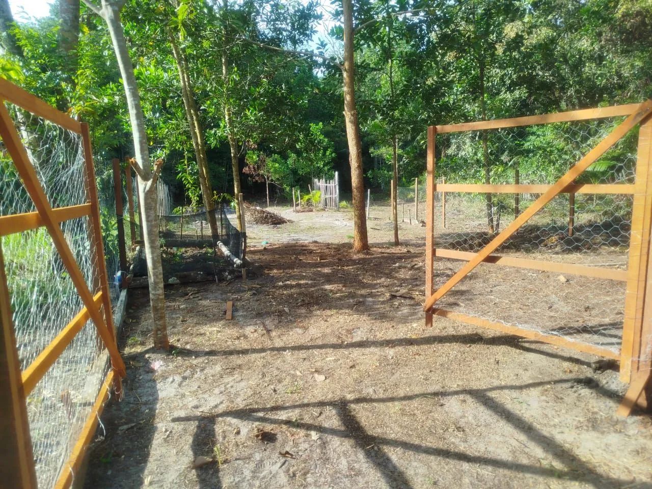 Vendo terreno ( Benfica ) - Foto 4
