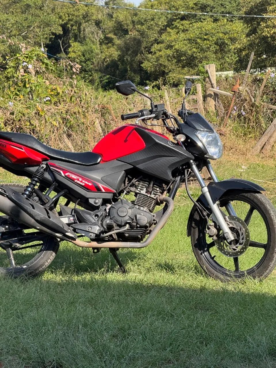 Locação de moto - Foto 3