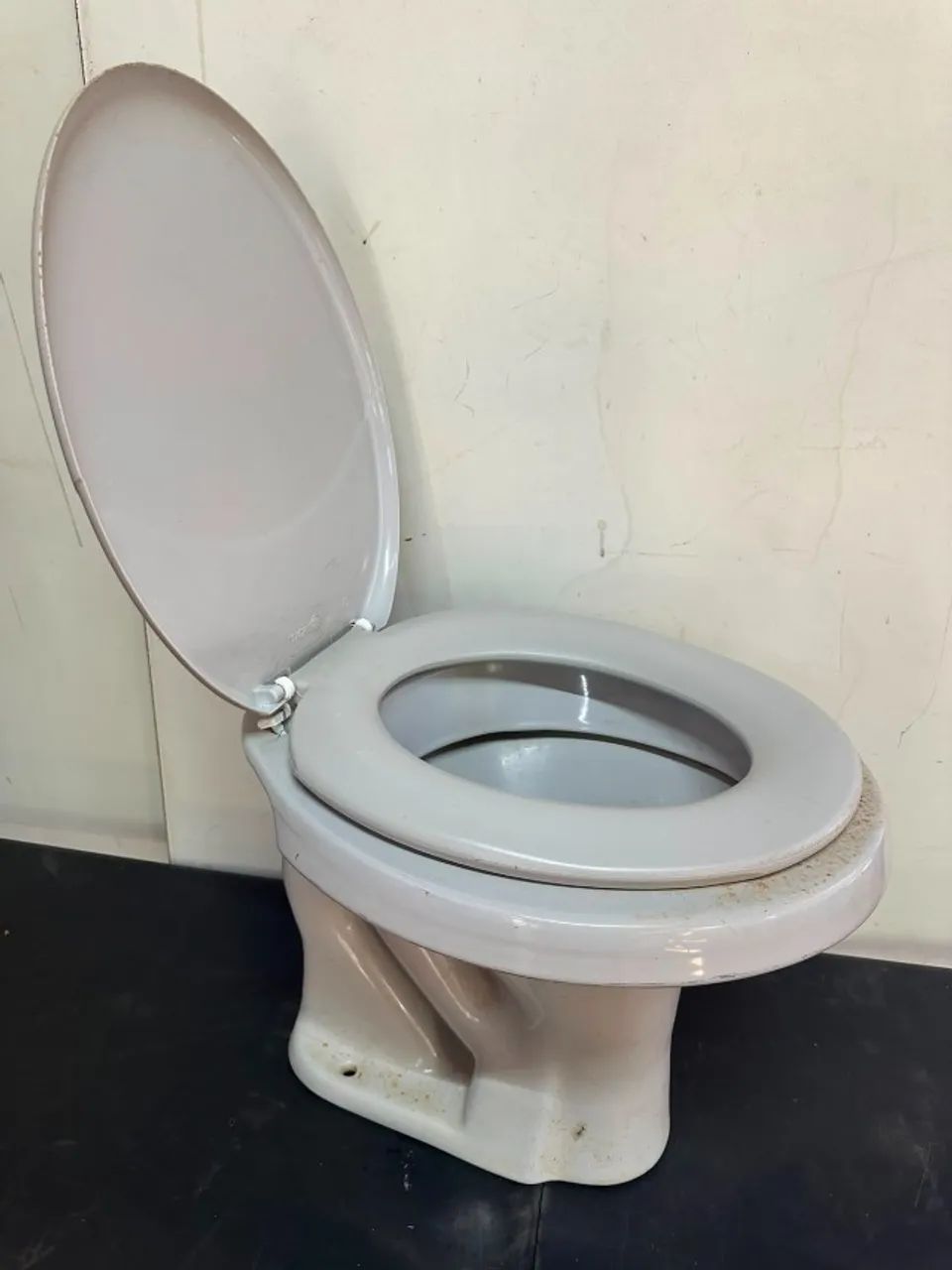 Vaso sanitário e assento com tampa