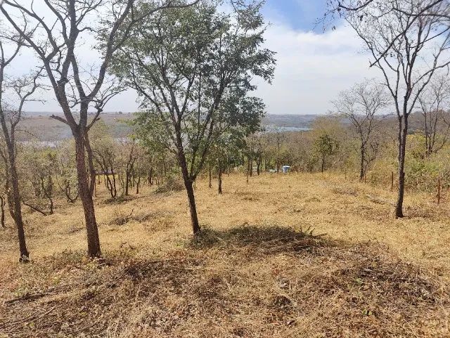 LINDA CHACARA NO MIRANDA 1 5 MIL METROS - Foto 4
