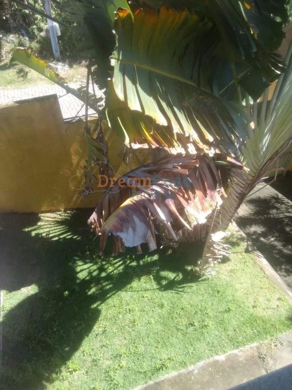 Casa 2 quartos com piscina - Foto 5