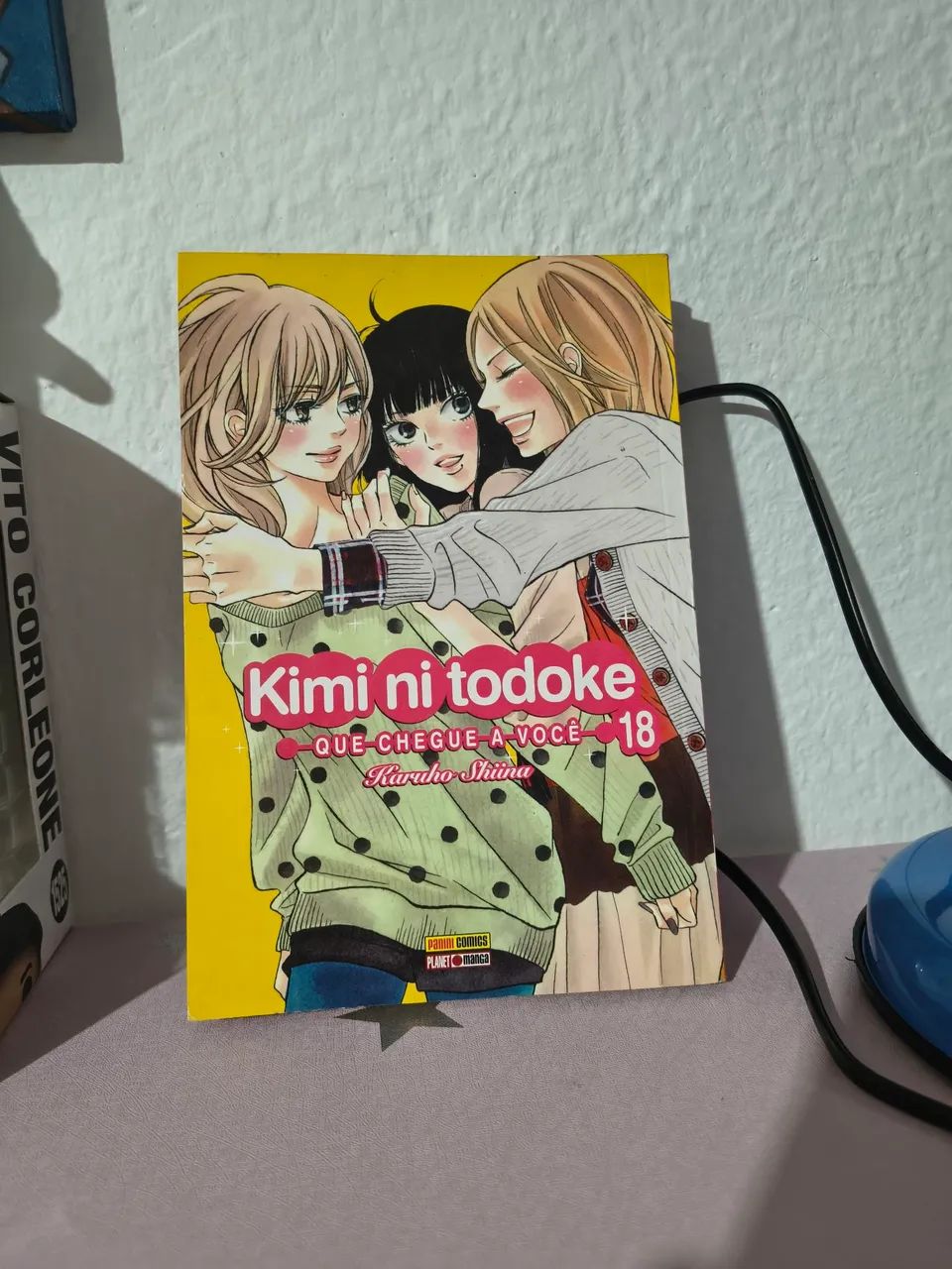 Mangá Kimi ni Todoke - Foto 2