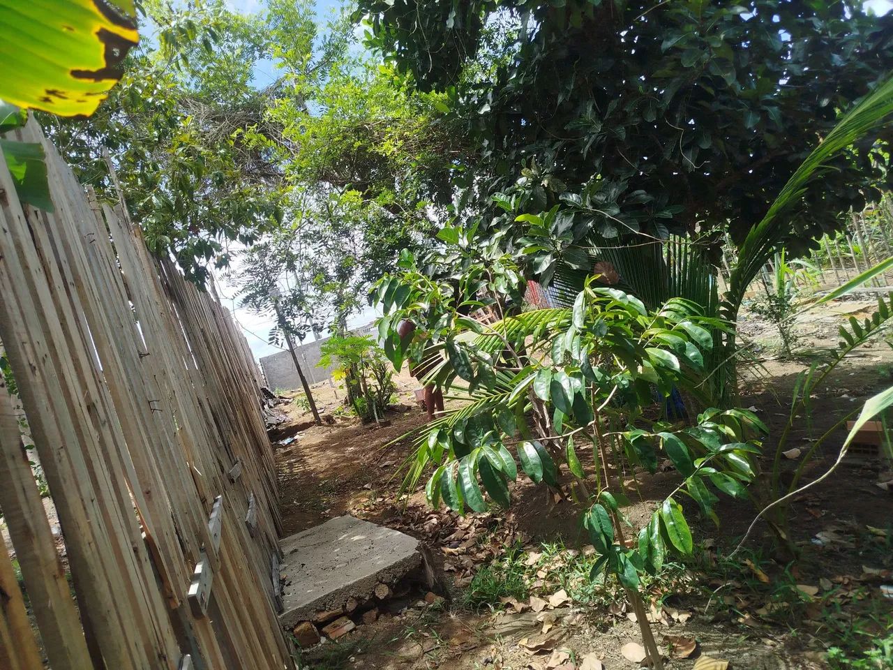 Vendo terreno  - Foto 5