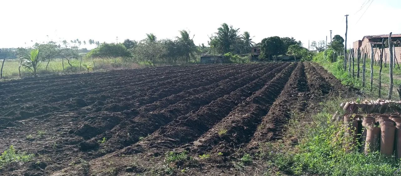 Granja Sucego Brejinho RN  - Foto 3