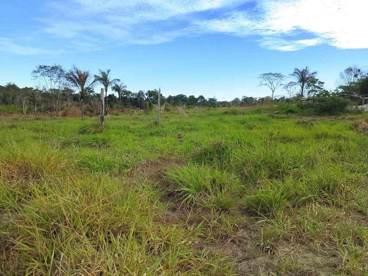 Terreno a venda  se quer comprar só mandar  msg pelo watts terreno muito bom pra criar boi - Foto 3