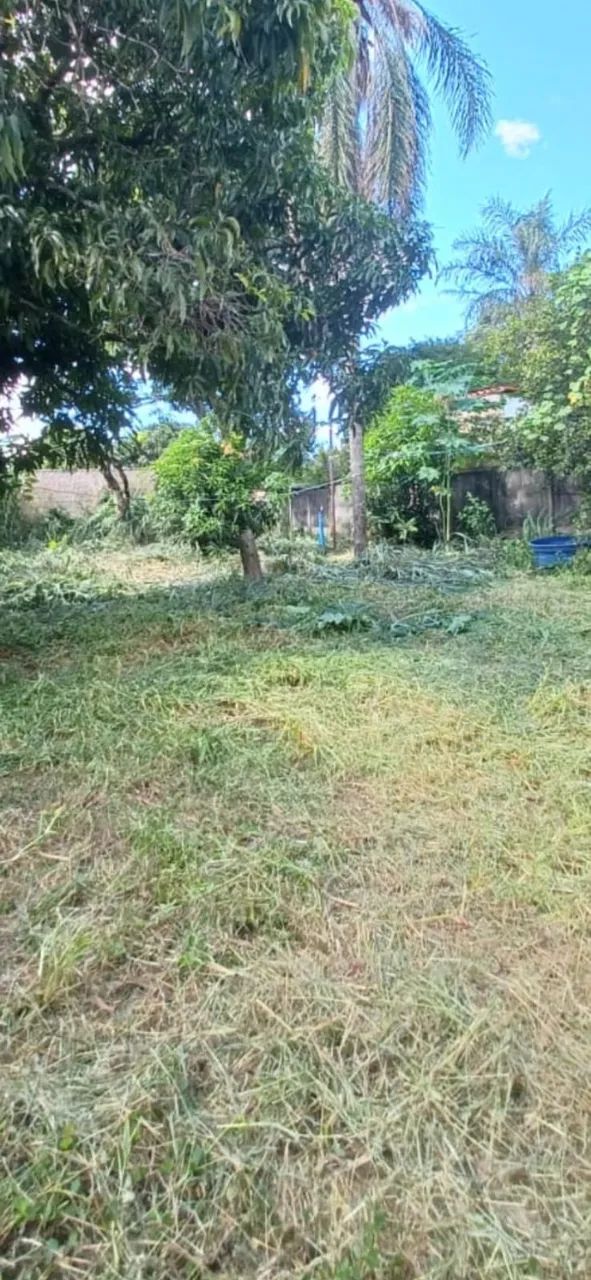 Foto - Três Marias - 