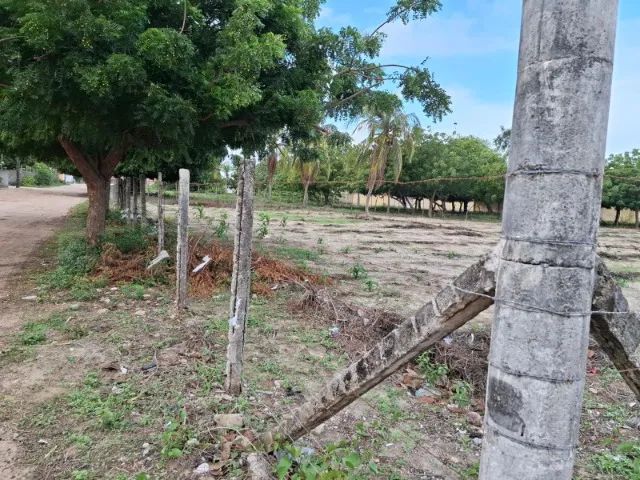 Terreno em Cascavel (CE). Uma jóia! - Foto 4