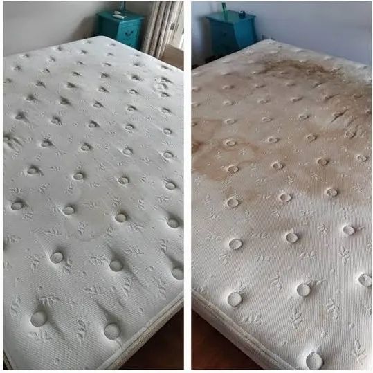 cama higienização - Foto 2