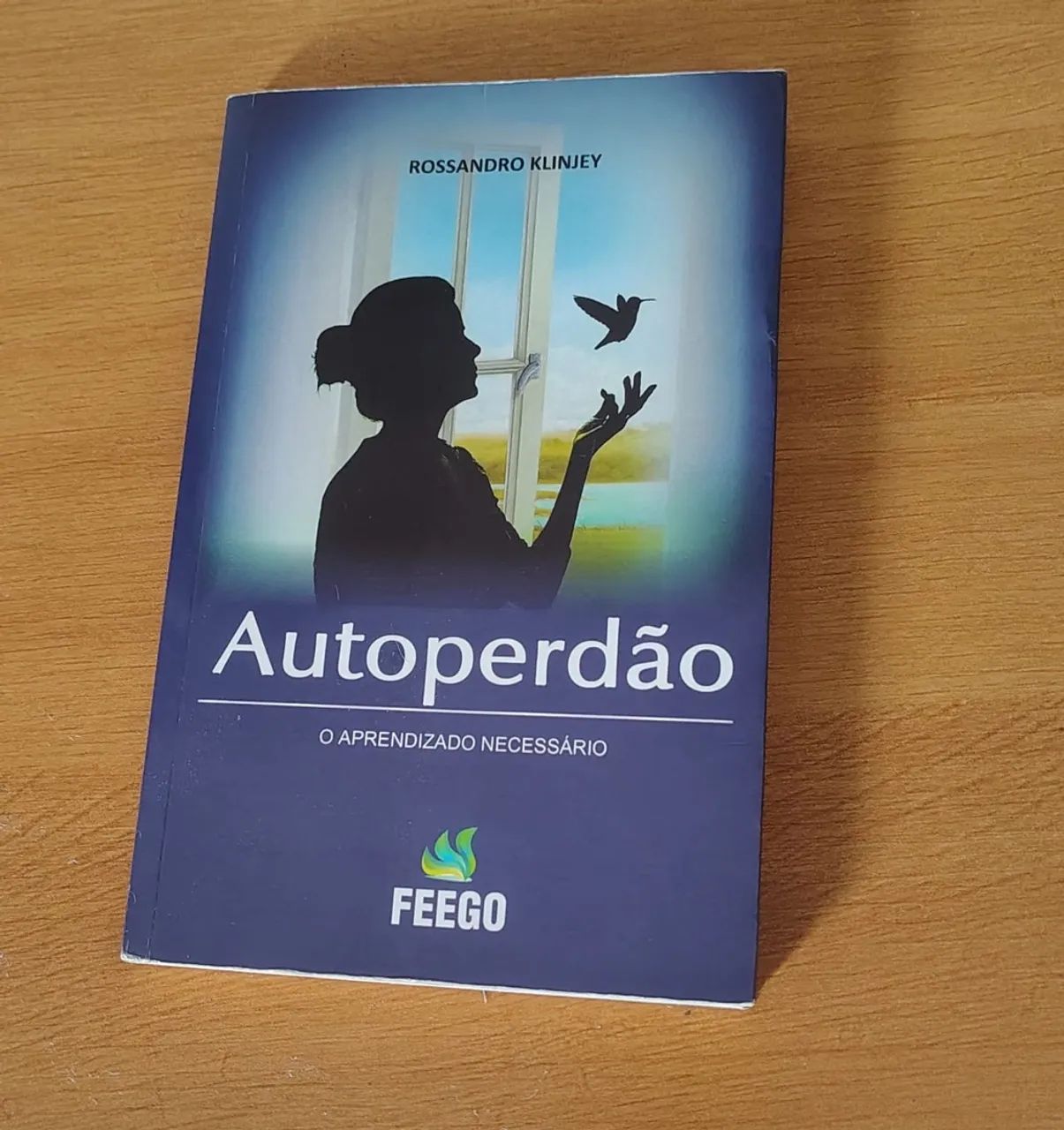 Livro Auto Perdão 