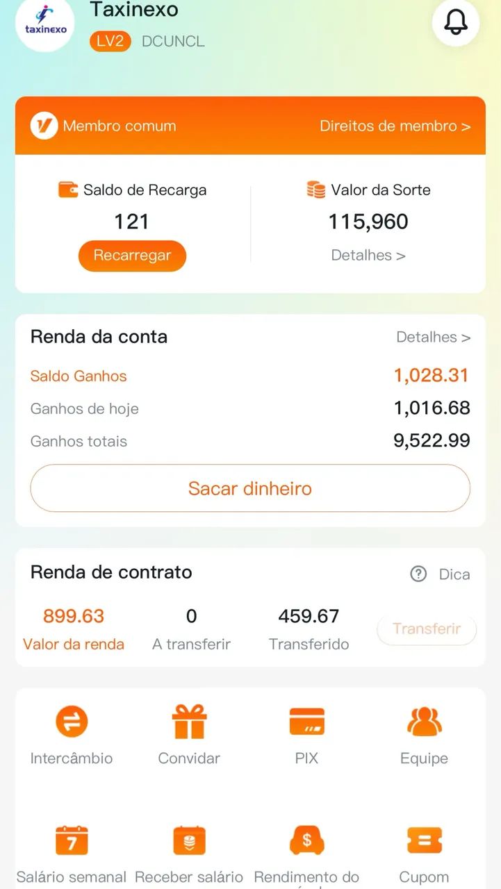 Taxinexo  - Foto 2