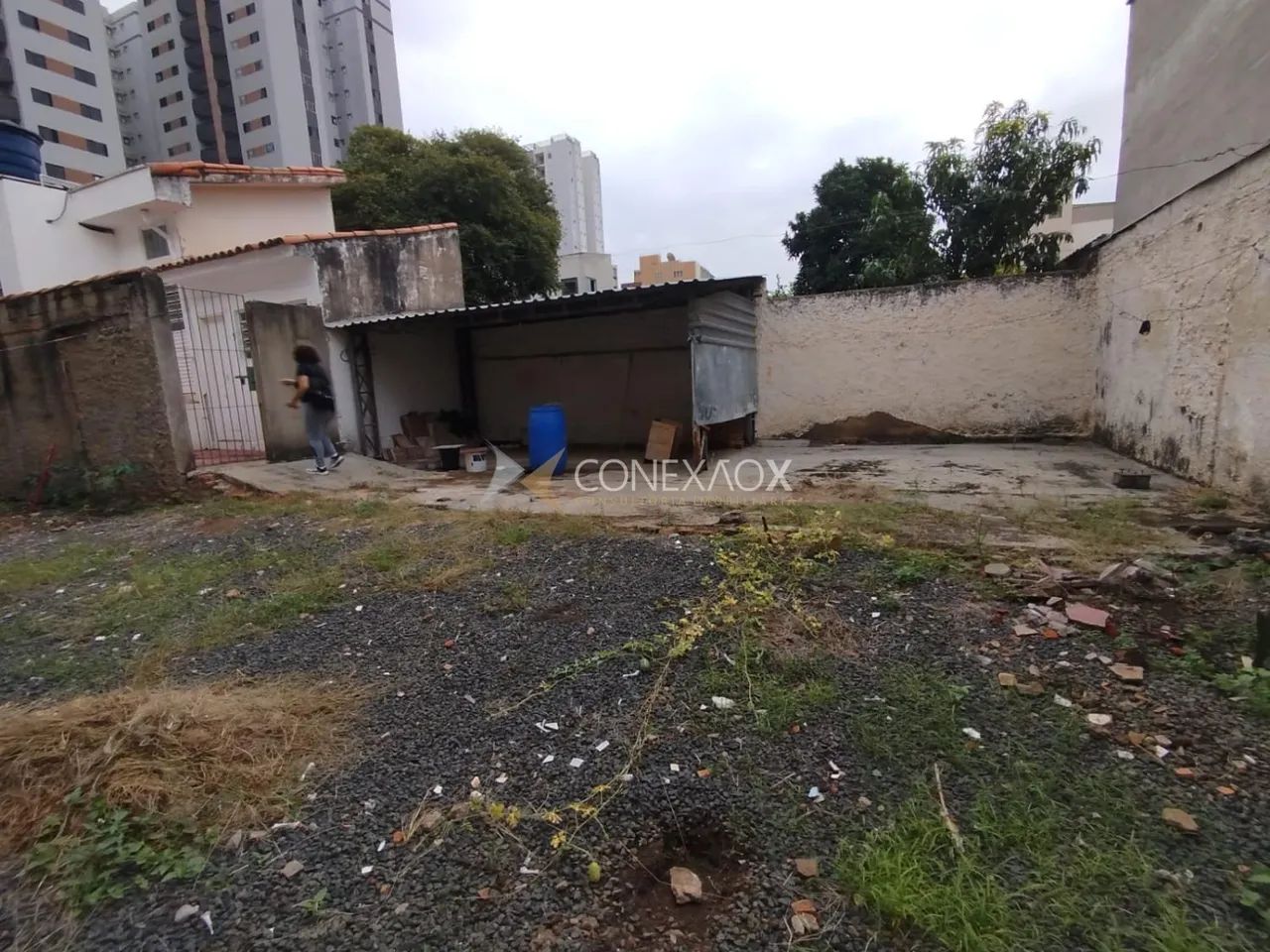 terreno - Bonfim - Campinas - Foto 3