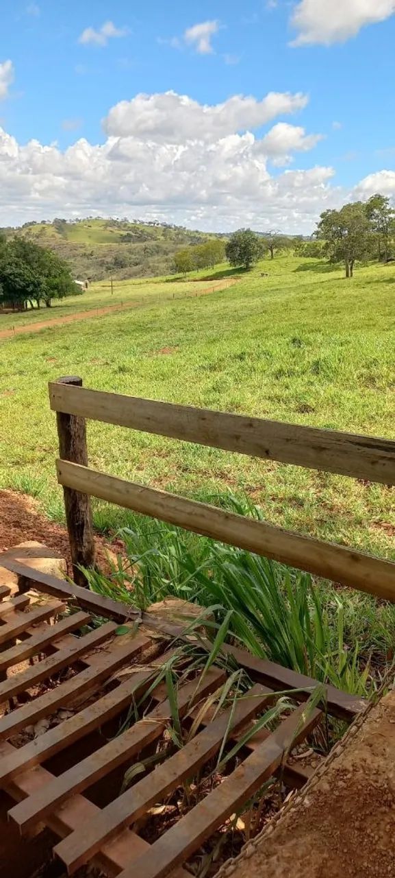 FAZENDA A VENDA  - Foto 2