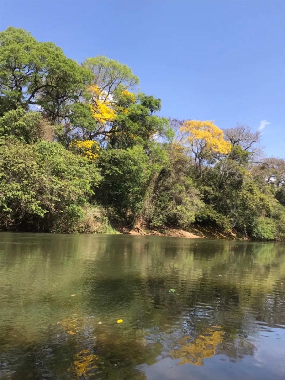 Chácara Rio dos Bois 