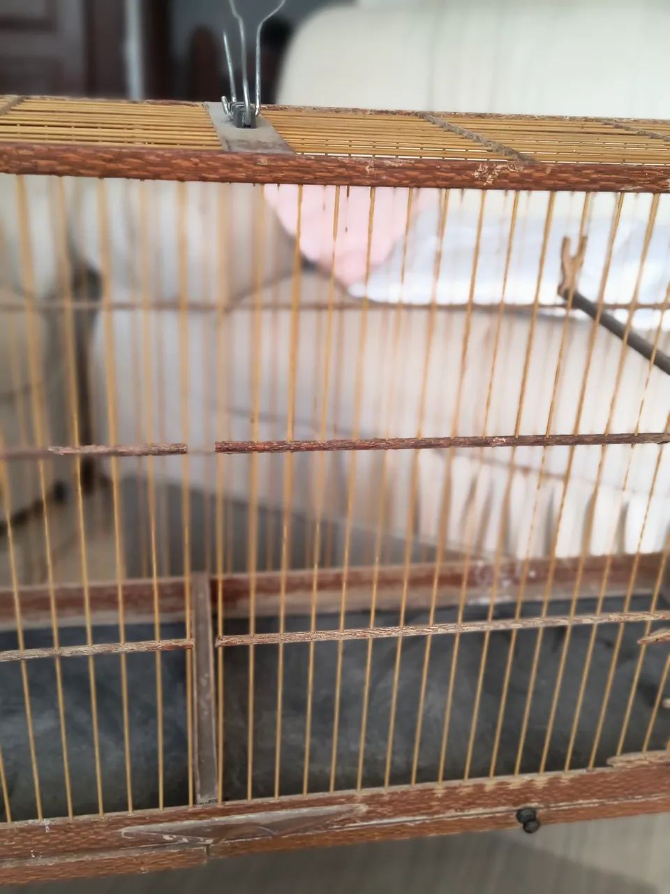 Gaiola arejador  - Foto 6