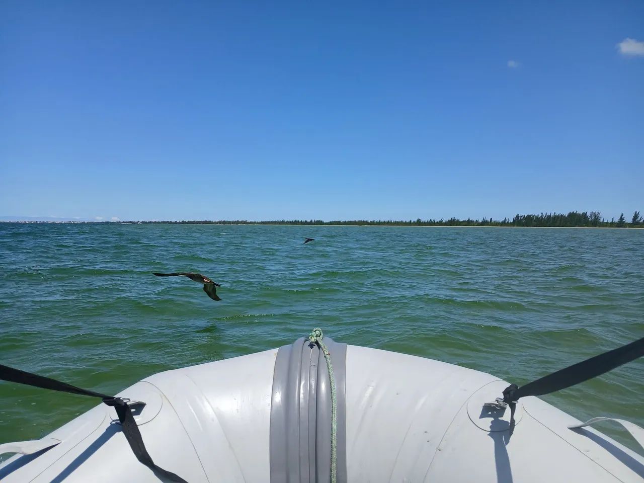 Vendo bote  - Foto 5