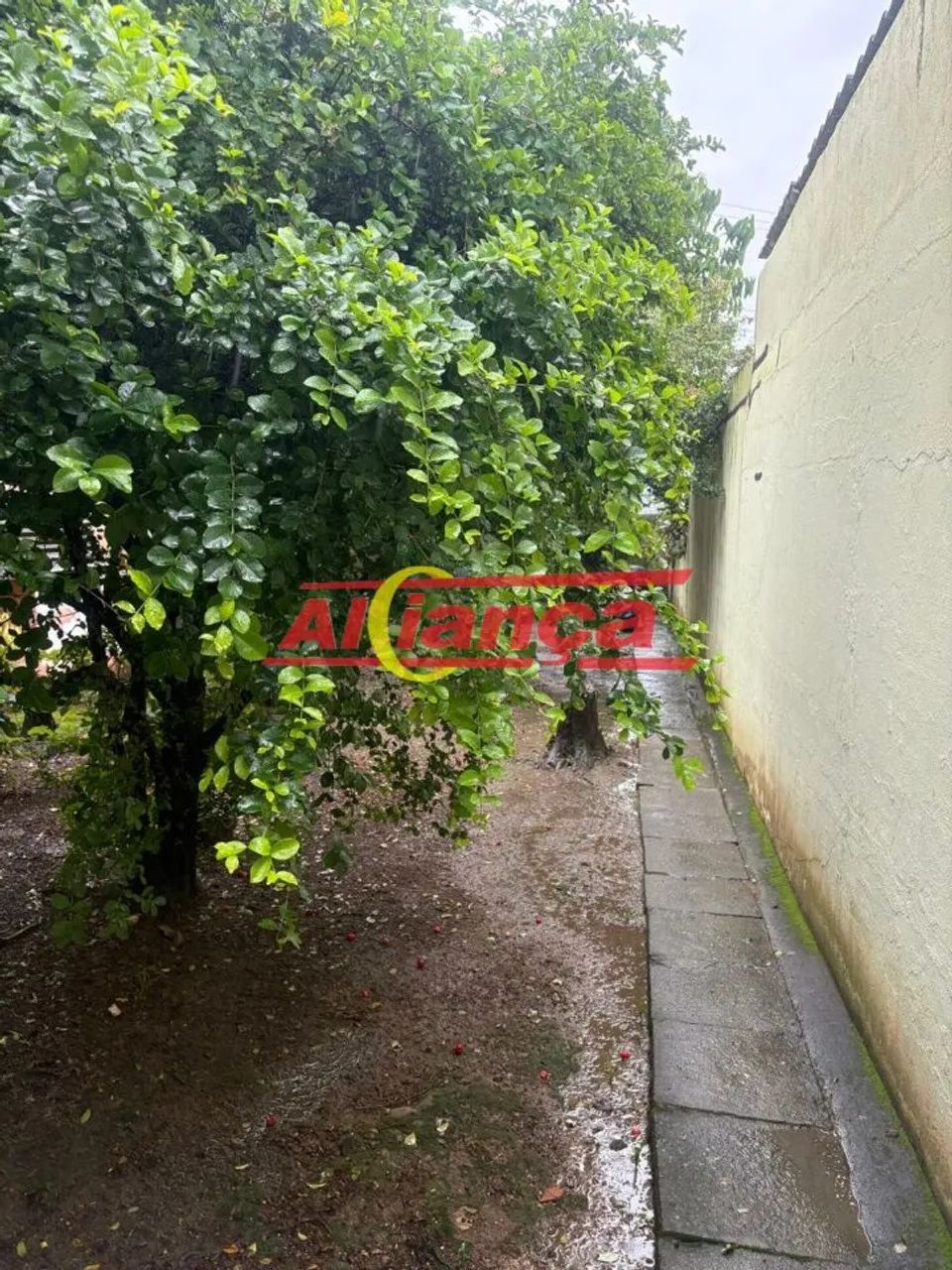 TERRENO 150 METROS, MURADO - Foto 2