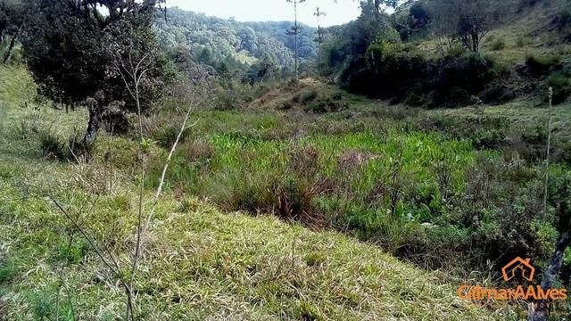 Fazenda para Venda, São Bento do Sul / SC, bairro Sertãozinho - Foto 11