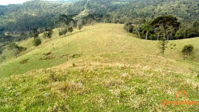 Fazenda para Venda, São Bento do Sul / SC, bairro Sertãozinho - Foto 4