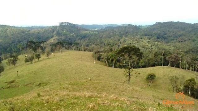 Fazenda para Venda, São Bento do Sul / SC, bairro Sertãozinho - Foto 2