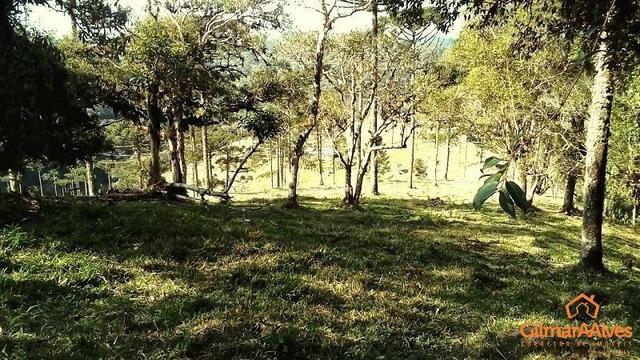 Fazenda para Venda, São Bento do Sul / SC, bairro Sertãozinho - Foto 13