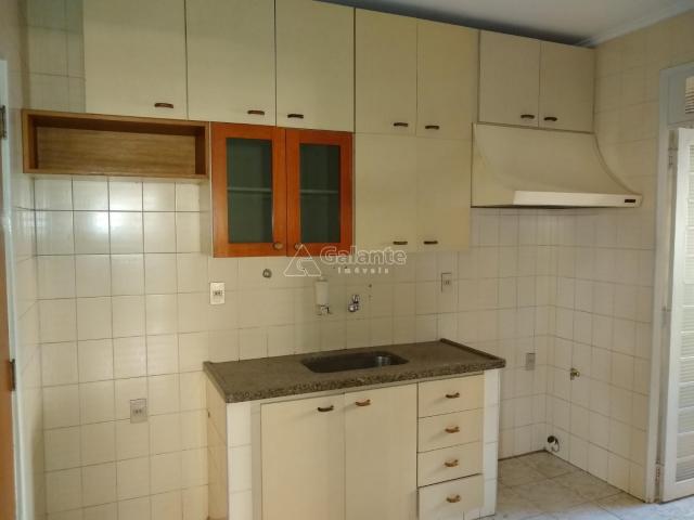 Apartamento para alugar com 2 dormitórios em Cambuí, Campinas cod:AP004050 - Foto 5