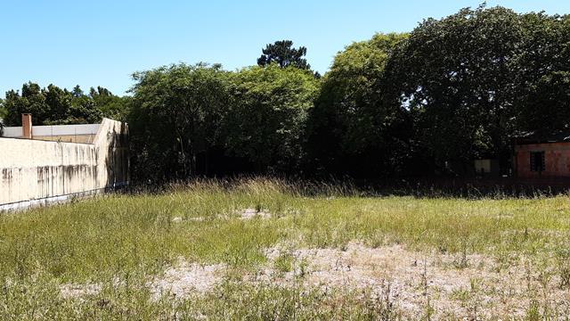 Terreno para alugar em , cod:I-023745 - Foto 4