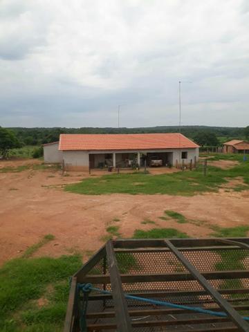 Fazenda 76 alqueires Município de Gurupi-TO - Foto 4