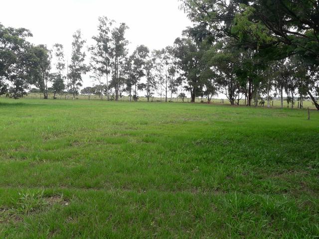 Vendo várias fazendas no estado Ms - Foto 5