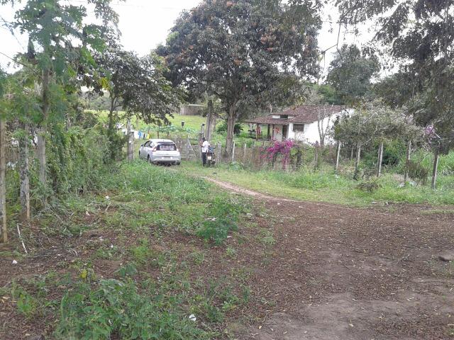 Sitio - Foto 5