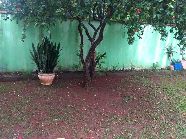 Casa com amplo quintal e ótima localização - Foto 9