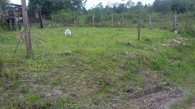 Lote em Leandrinho Dias DAvila