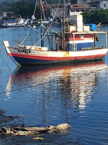Barco pesqueiro