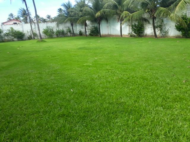 Alugo Casa de Praia Cumburco - Foto 3