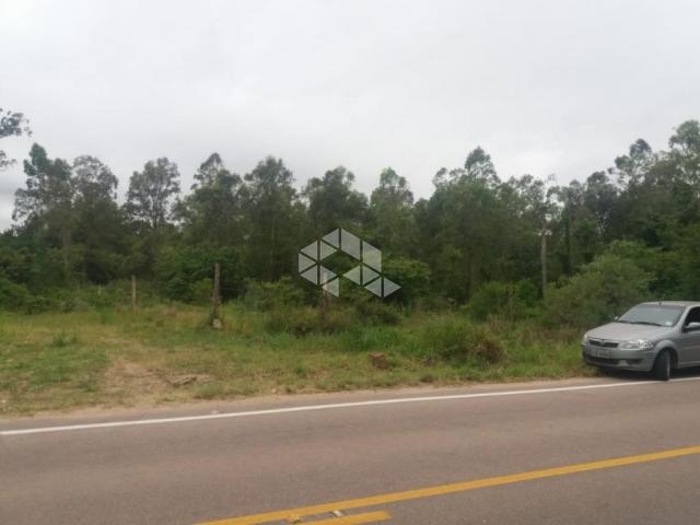 Terreno à venda em Lami, Porto alegre cod:TE1074 - Foto 15