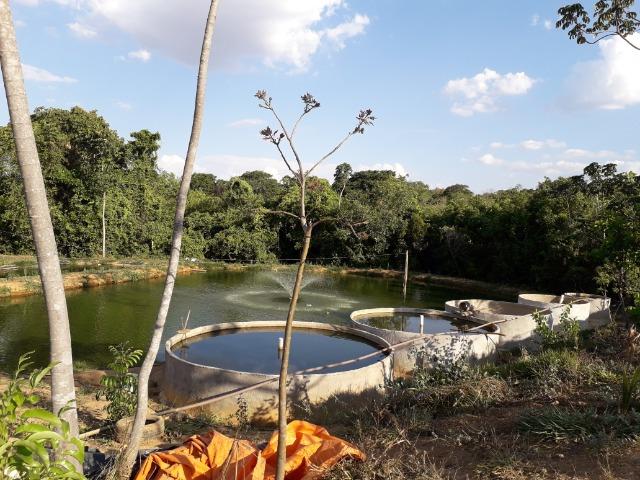 Fazenda à venda ou troca R$ 12 mil o Hectare- Zona Rural - Luziânia/GO - Foto 18