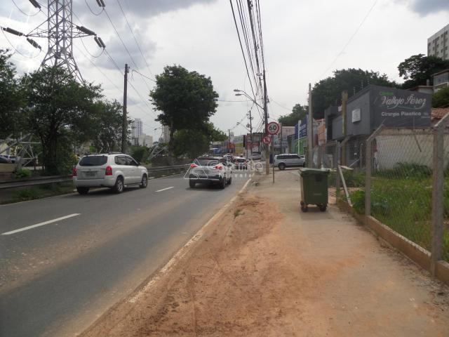 Terreno para alugar com 0 dormitórios em Cambuí, Campinas cod:AR003053 - Foto 3
