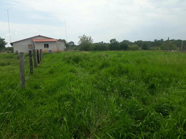 Fazenda 76 alqueires Município de Gurupi-TO - Foto 11